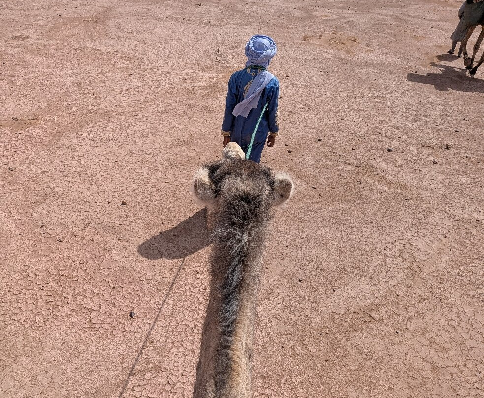 Desert Tour-扎古拉必去景点