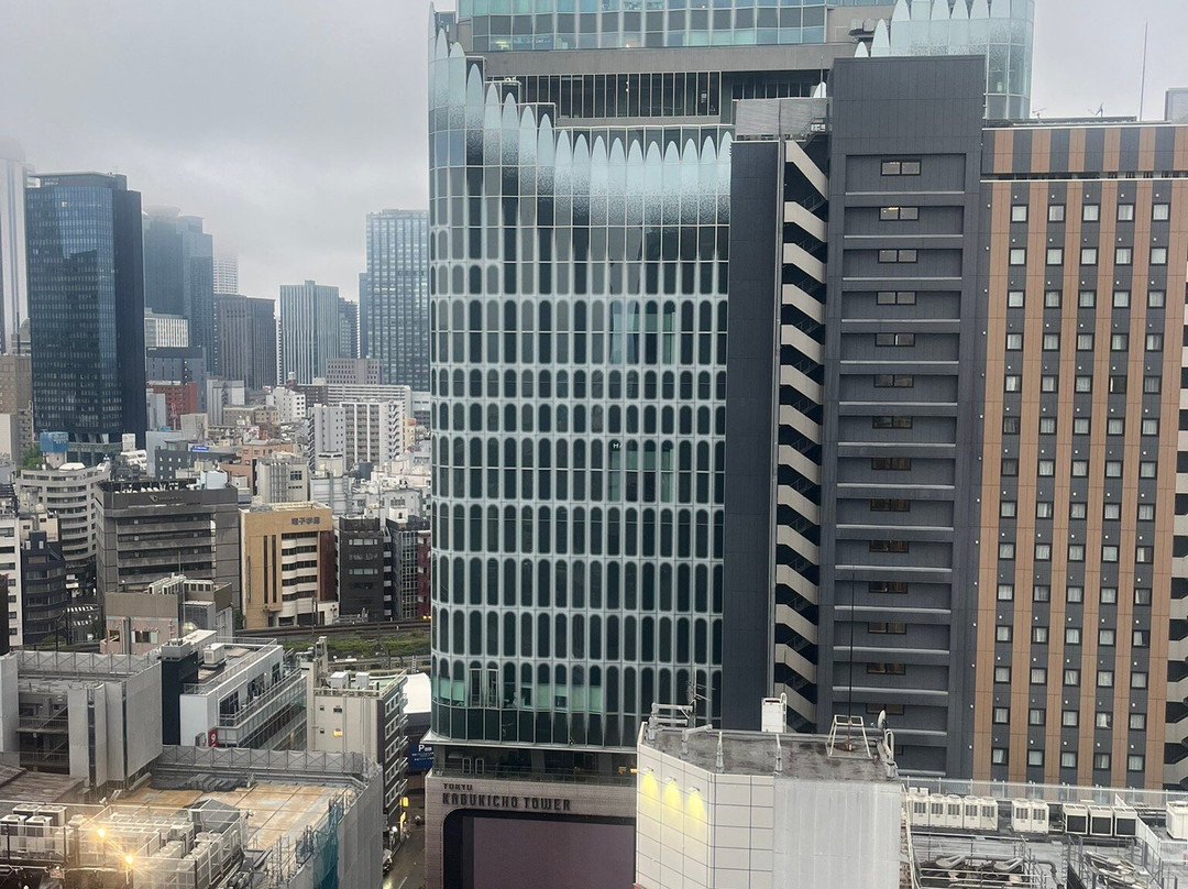 新宿格拉斯丽酒店主图