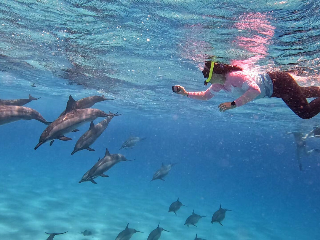 Marsa Alam Tours-马萨阿拉姆必去景点