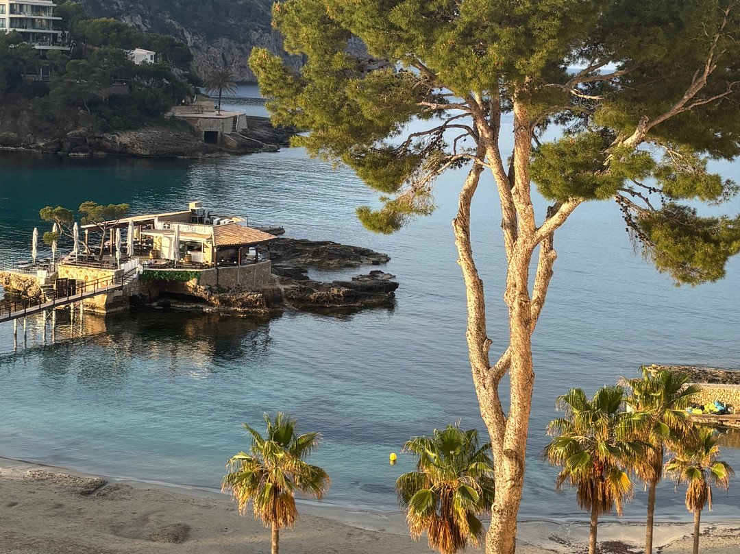 Camp De Mar Beach-Camp De Mar必去景点