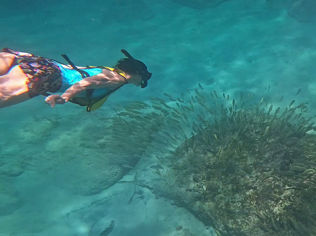Vieques Snorkel Tours-维切克岛必去景点