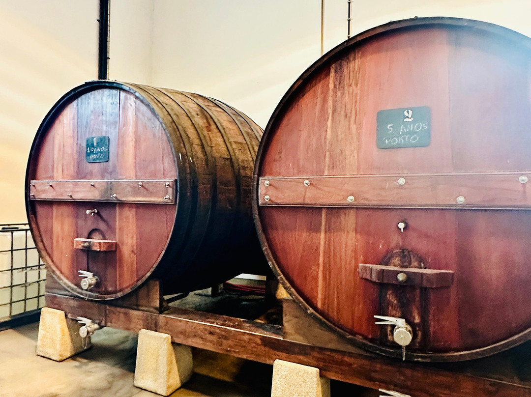 Wine Tourism - Quinta dos Murcas