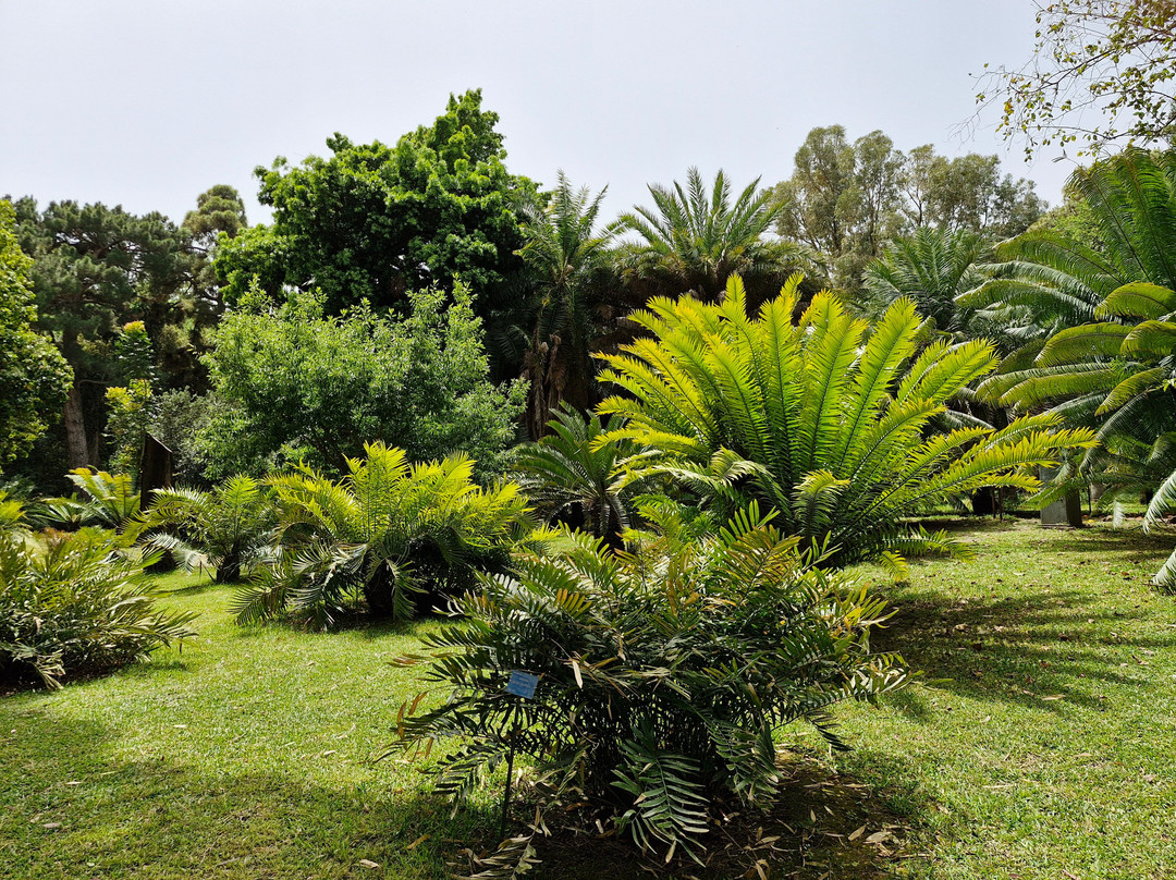 Orto Botanico-巴勒莫必去景点