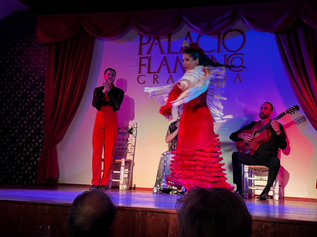 Palacio Flamenco Granada-格拉纳达必去景点