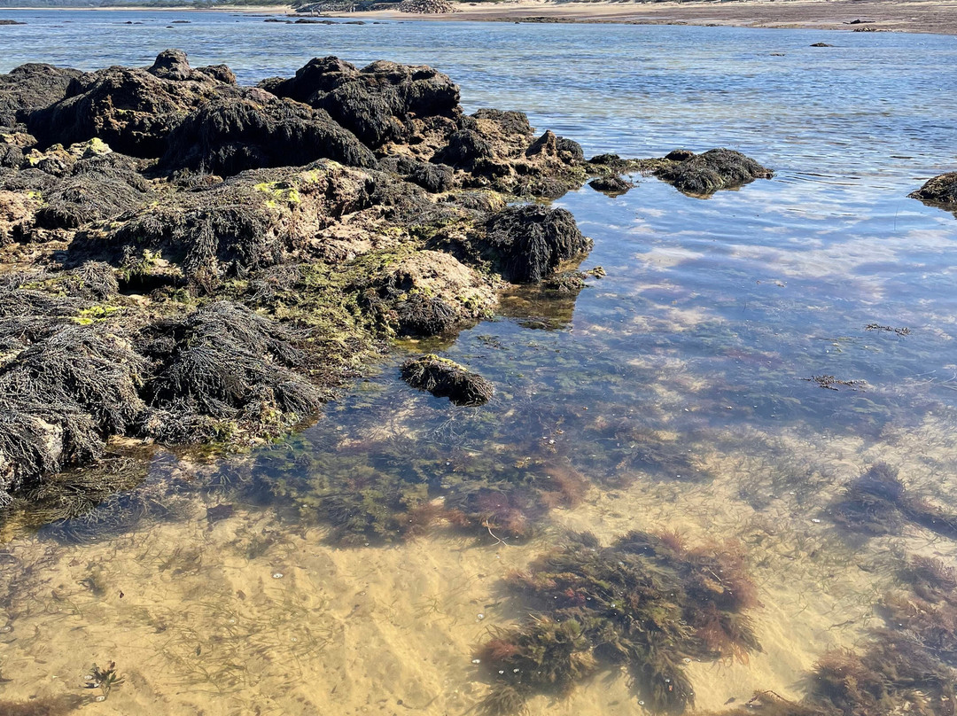 Somers Beach-Somers必去景点
