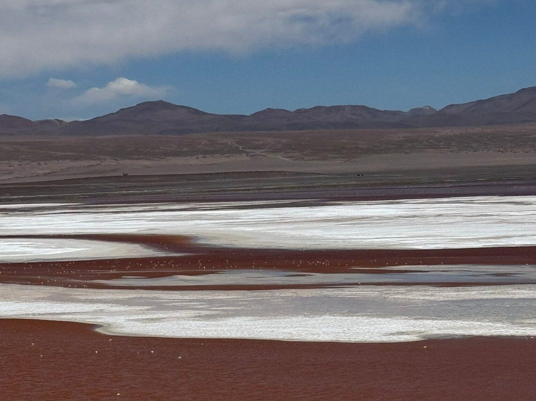 Laguna Colorada-乌尤尼必去景点