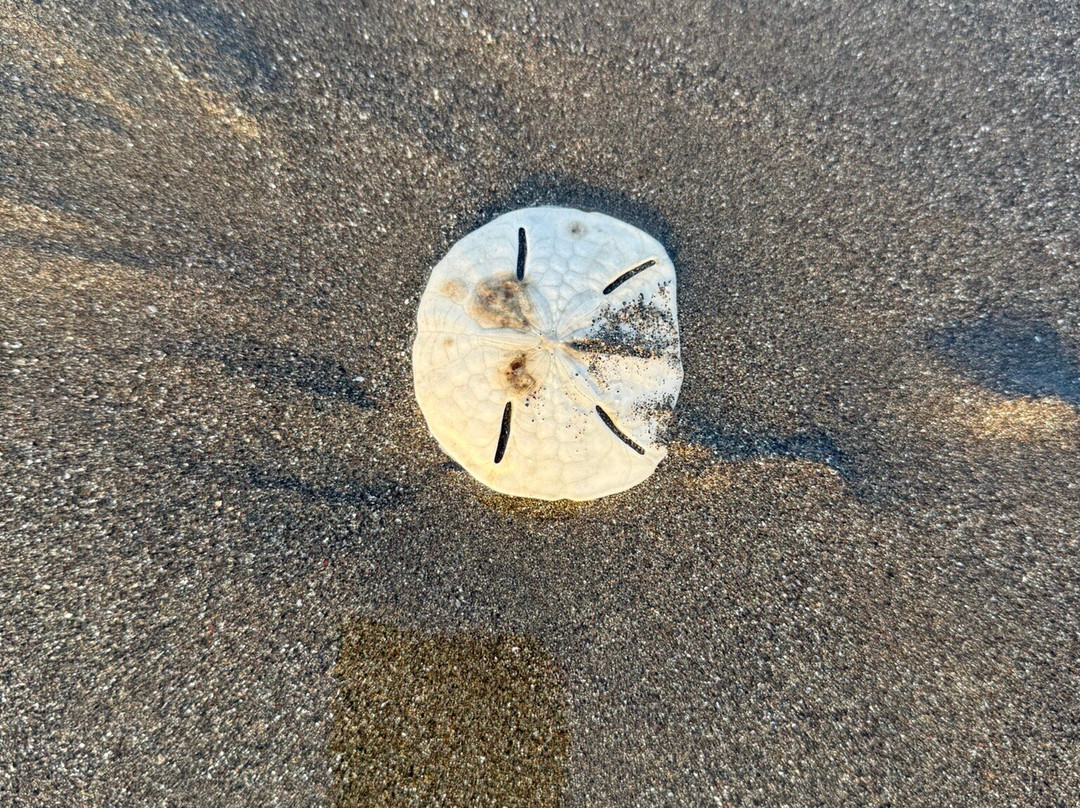恩坎塔达海洋别墅主图