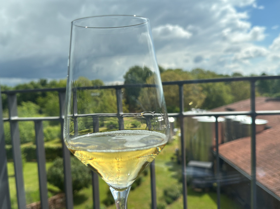 弗里特兹瓦特红酒酒店主图