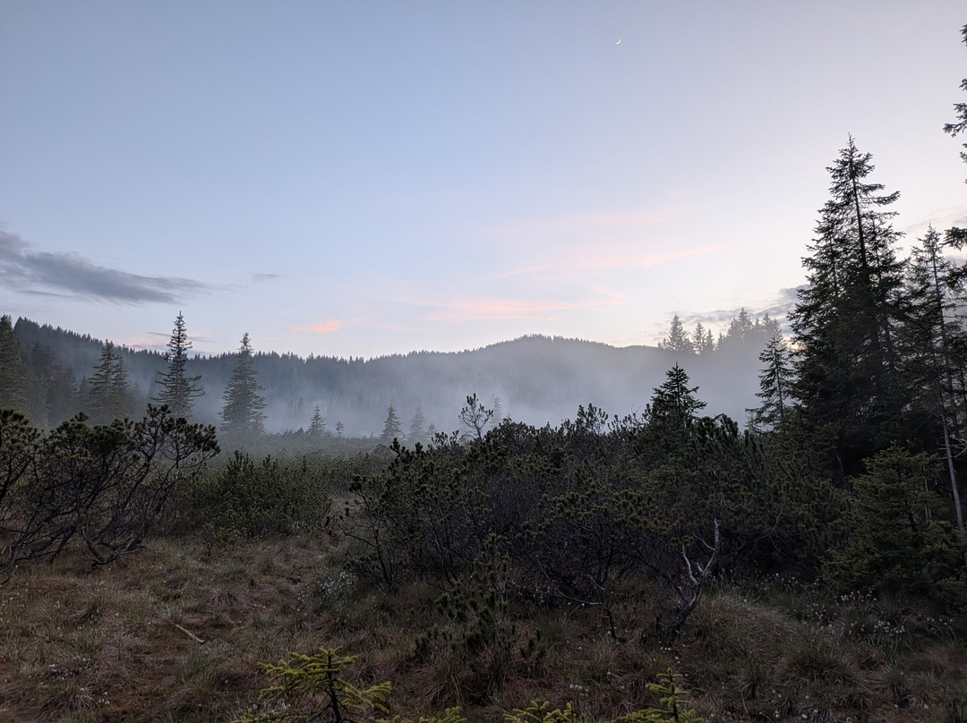 Goreljek Peat Bog-Bohinjska Bistrica必去景点