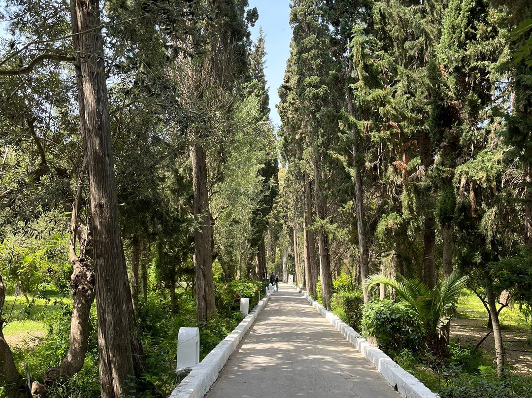 Centre Culturel International de Hammamet-哈玛麦德必去景点