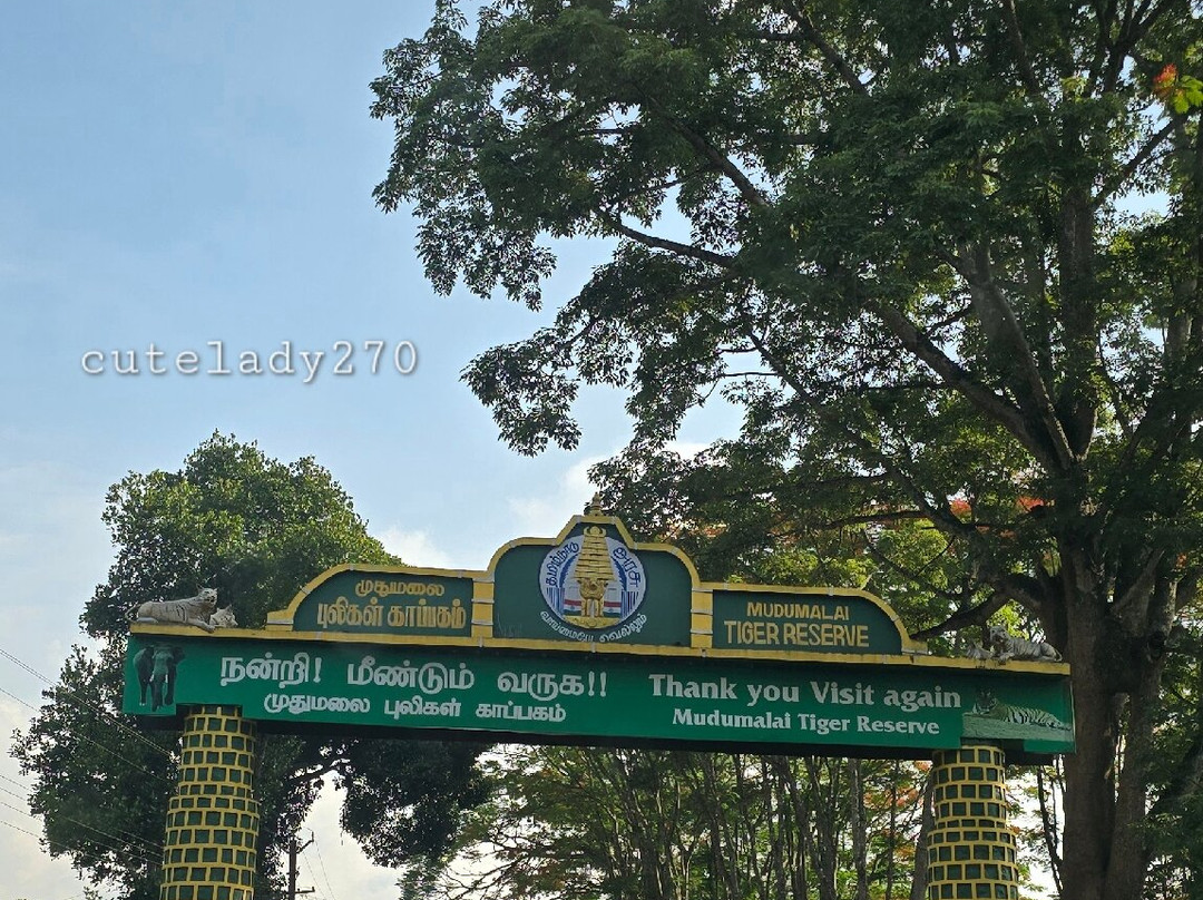 Mudumalai National Park-乌提必去景点