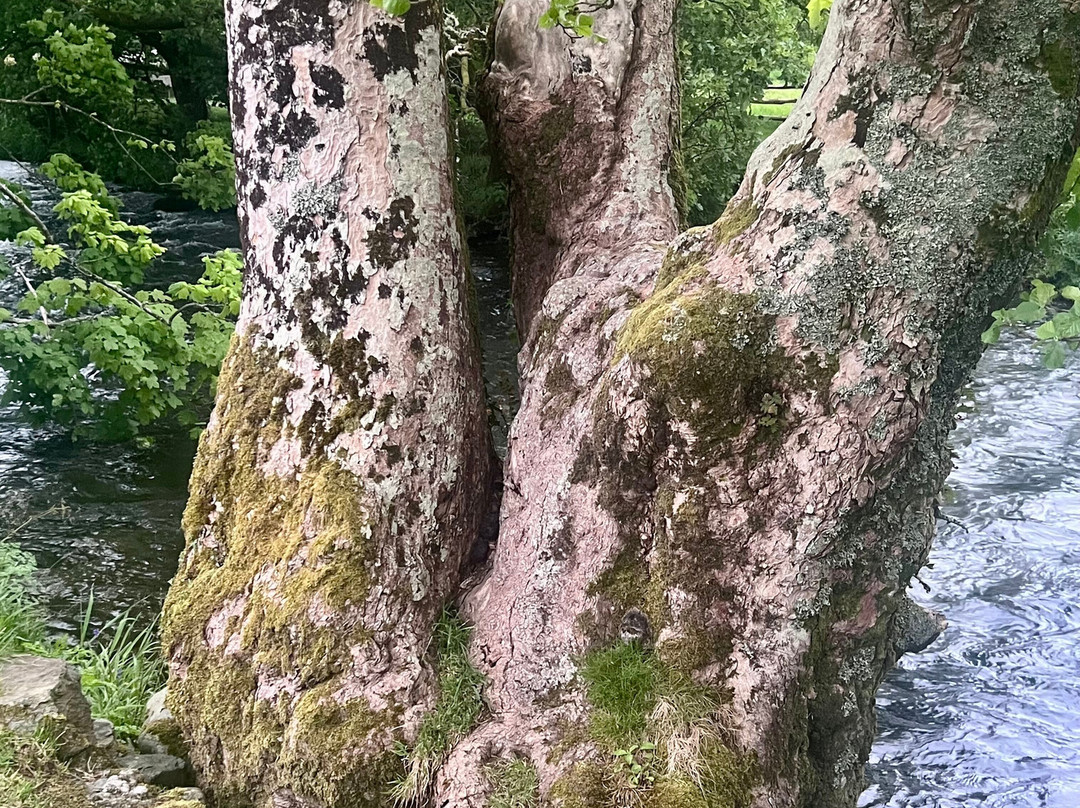 Beddgelert-Beddgelert必去景点