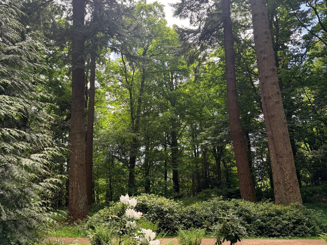 Belsay Hall Castle And Gardens-Belsay必去景点