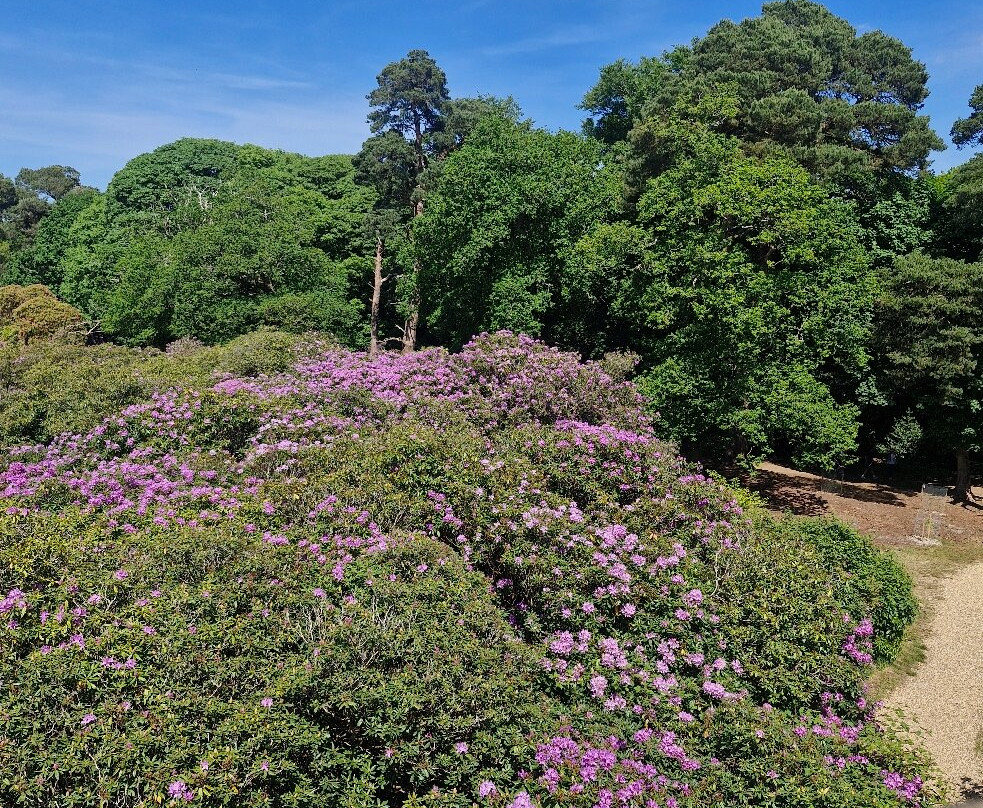 Sheringham Park-Sheringham必去景点