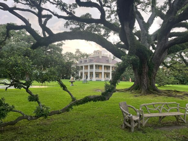 The Inn at Houmas House Estate-旅行者