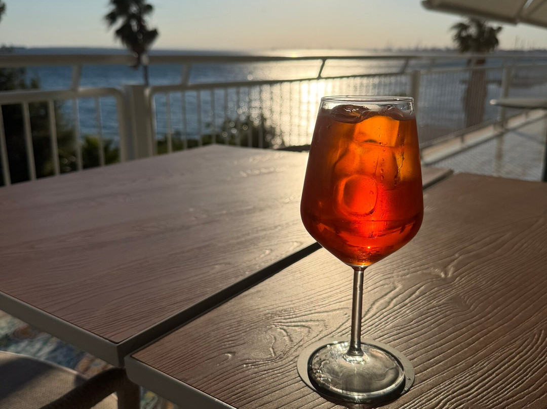 塔兰托的德尔菲诺酒店主图