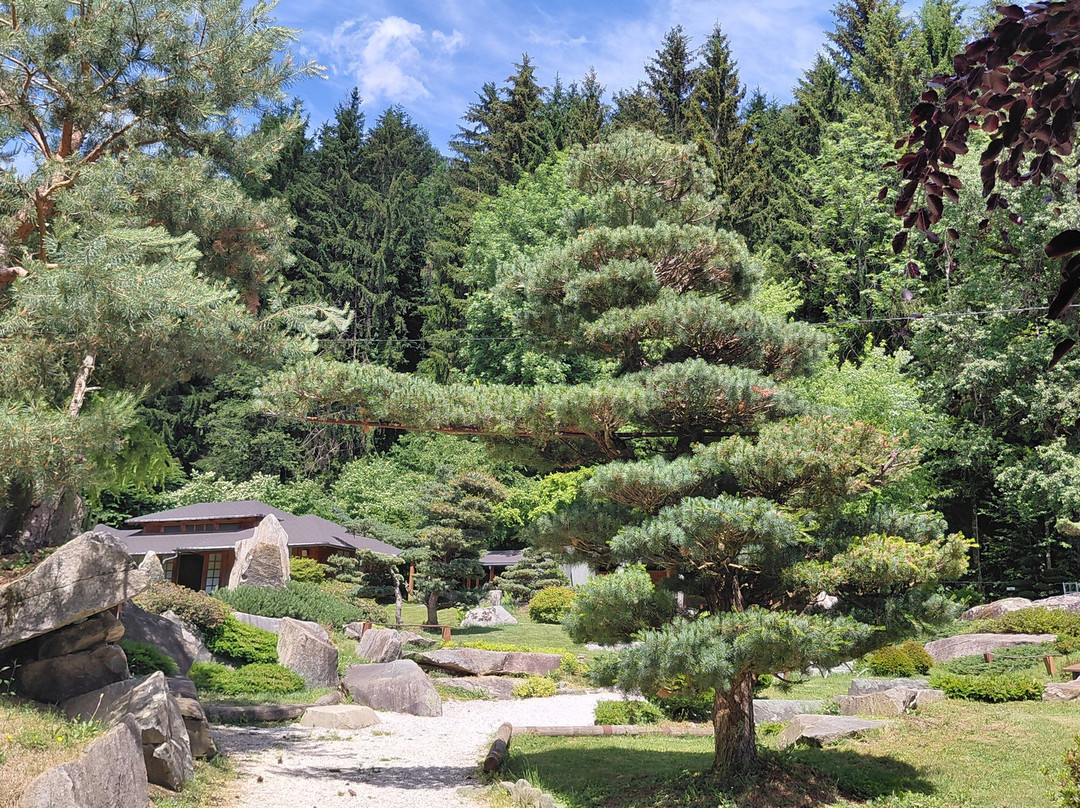 Bonsaimuseum-湖底城必去景点