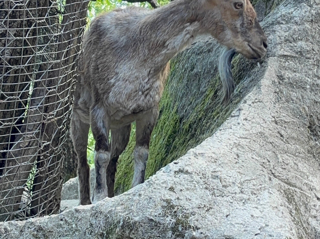 Giardino Zoologico Di Pistoia-皮斯托亚必去景点