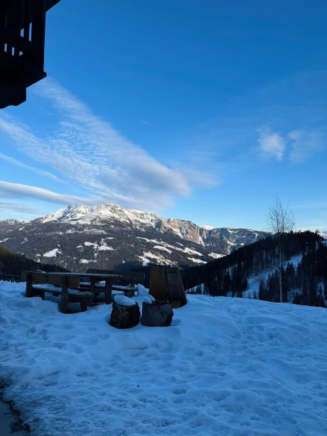 Haflingerhof-旅行者