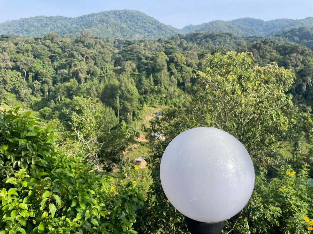 Bwindi Impenetrable Forest-Western Region必去景点