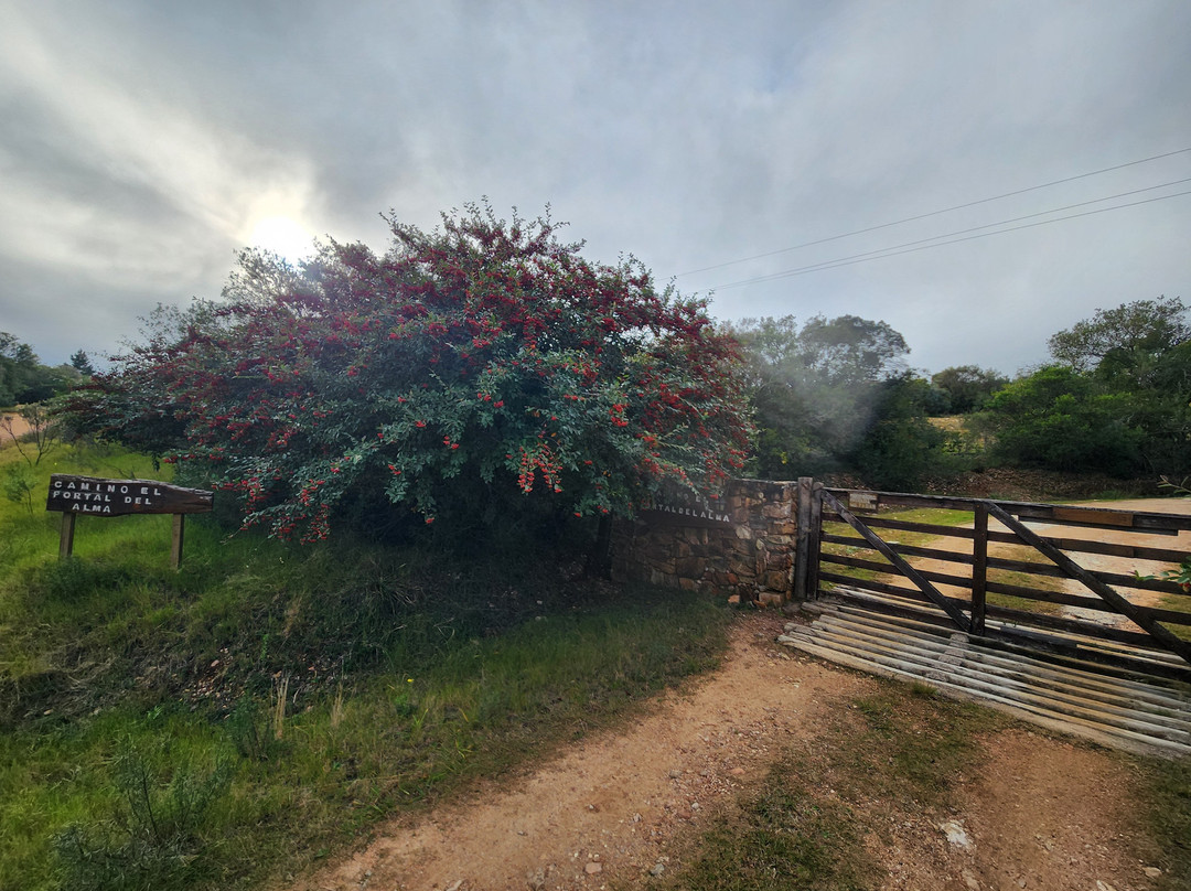 Camino el portal del Alma