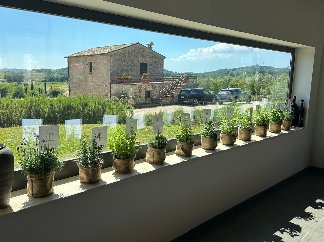 Pileum, Il Ristorante