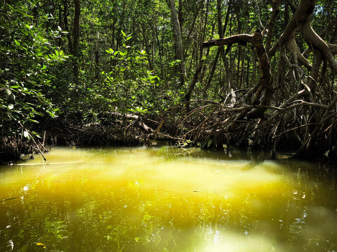 Reserva de la Biosfera Ría Celestún-塞莱斯顿必去景点