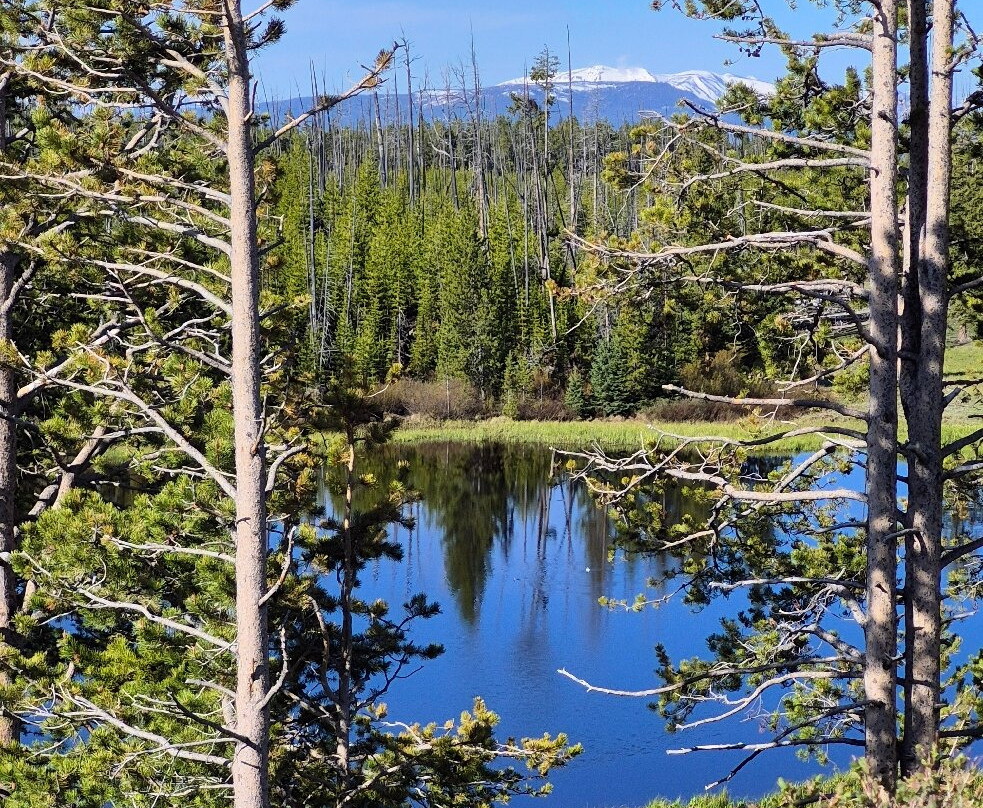 Yellowstone National Park-黄石国家公园必去景点