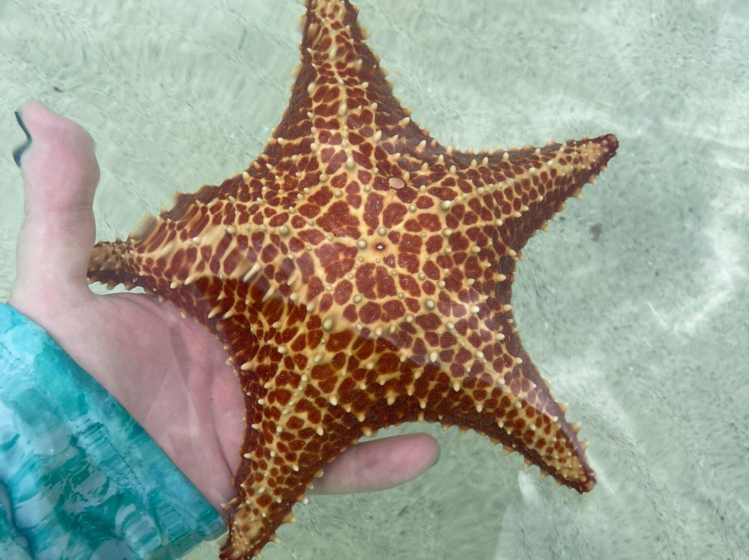 Six Senses Cayman Adventures-七哩滩必去景点