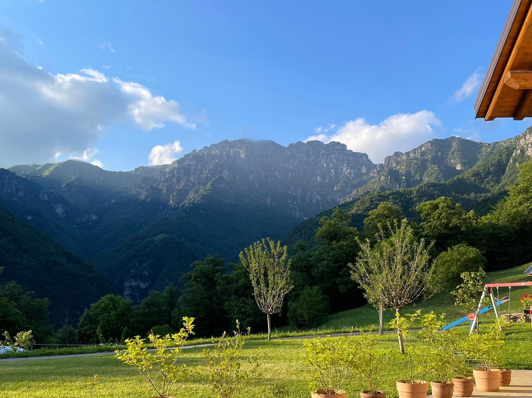 Dosso-Ville酒店住宿-Agriturismo Piane