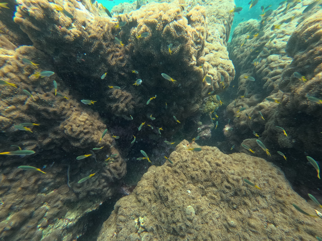 Epic Ocean Adventures-Trincomalee必去景点