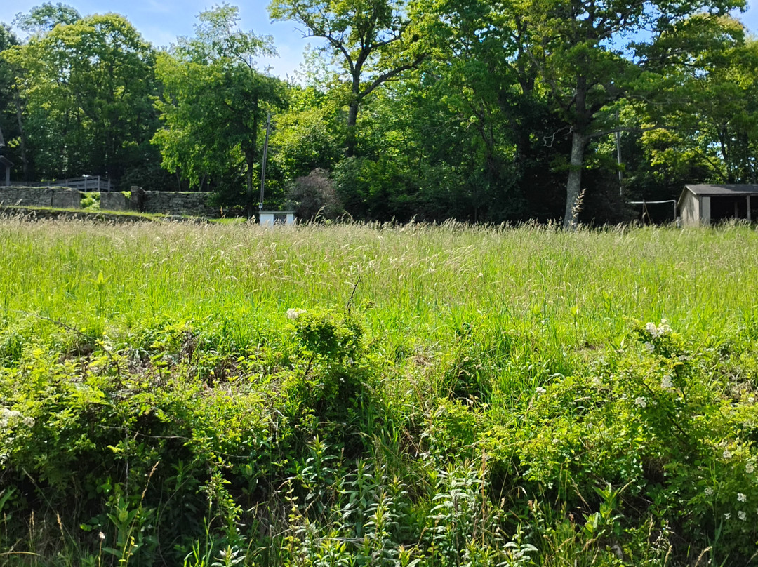 Moses H. Cone Memorial Park-布洛英罗克必去景点