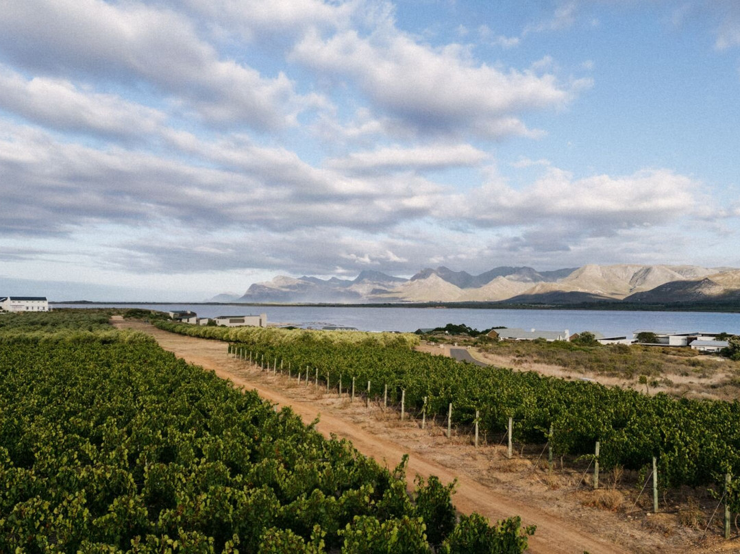 Benguela Cove Lagoon Wine Estate-赫曼努斯必去景点
