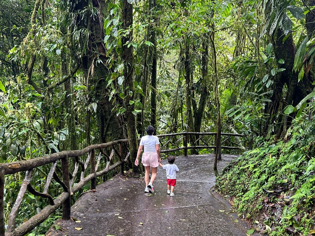 Puentes Colgantes del Arenal-圣卡洛斯必去景点