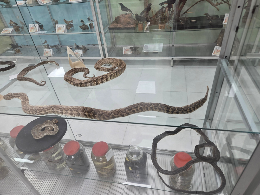 Jordanian Natural History Museum-Irbid必去景点