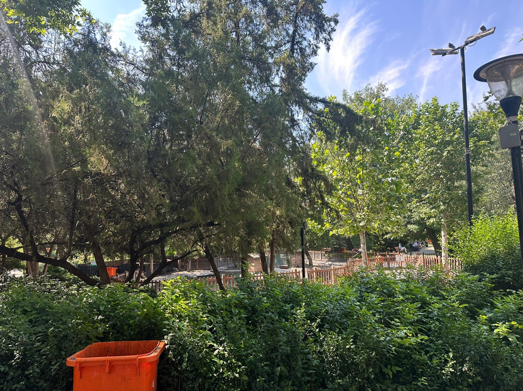 Kuğulu Park-安卡拉必去景点