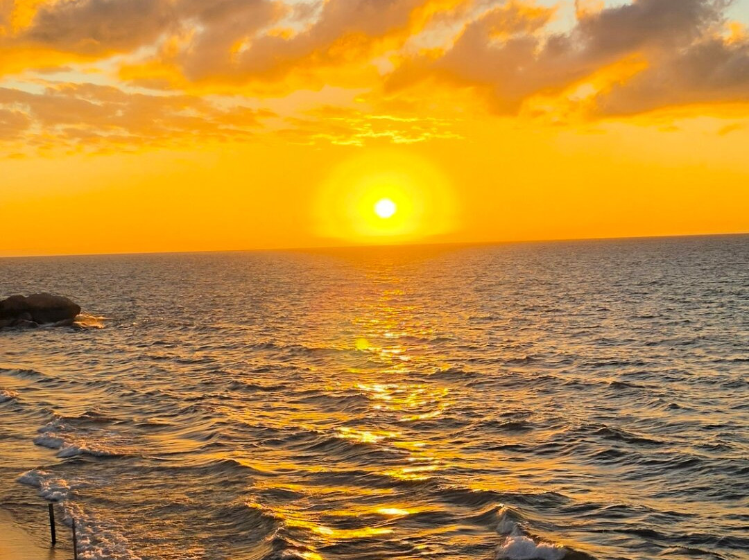 阳鸟海滨主图