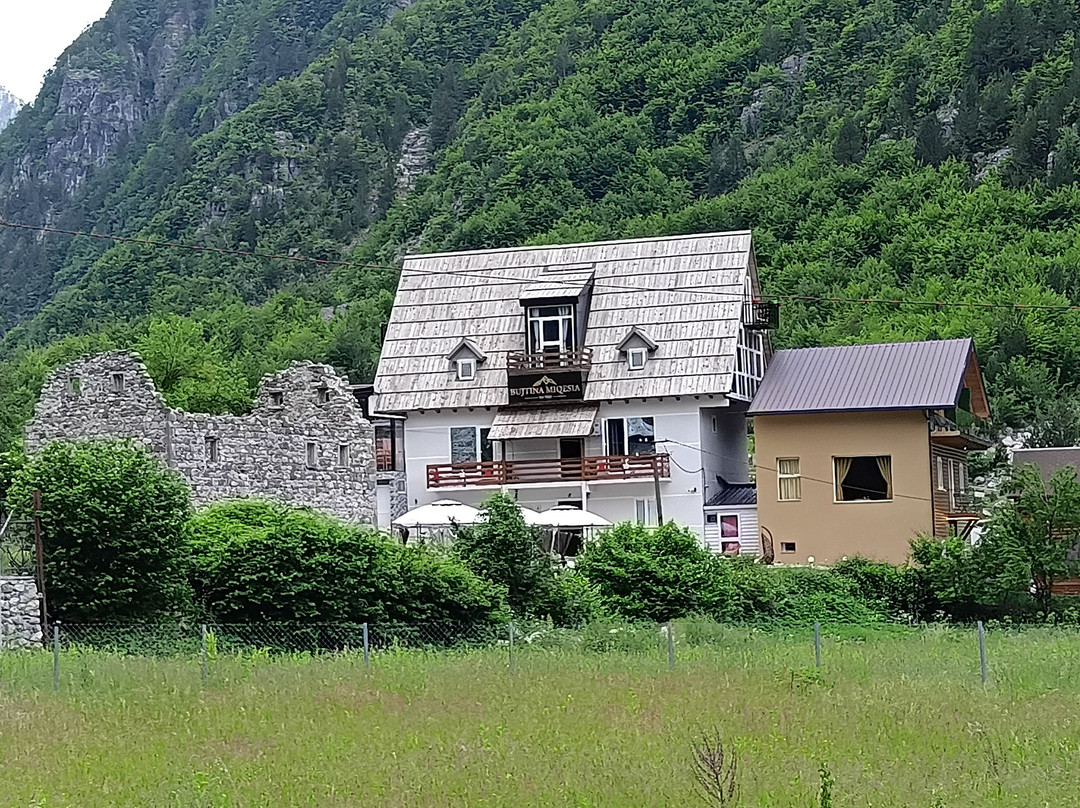 Bujtina Miqesia