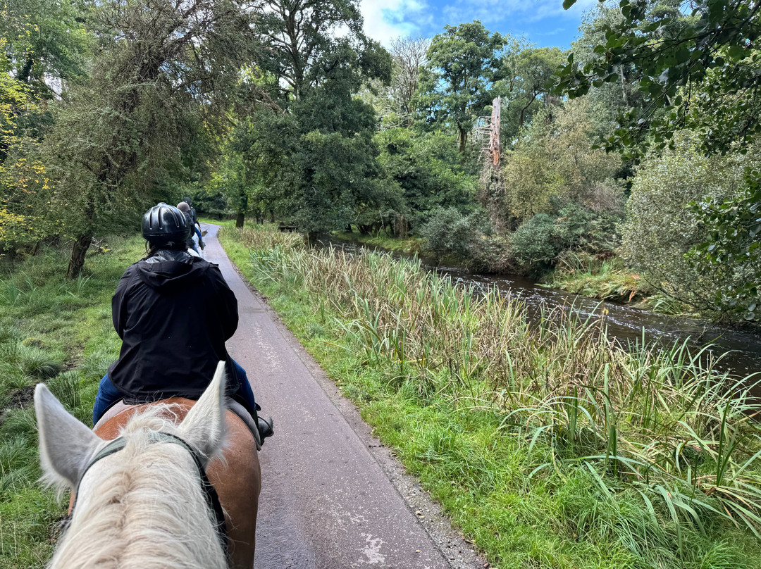 Killarney Riding Stables-基拉尼必去景点