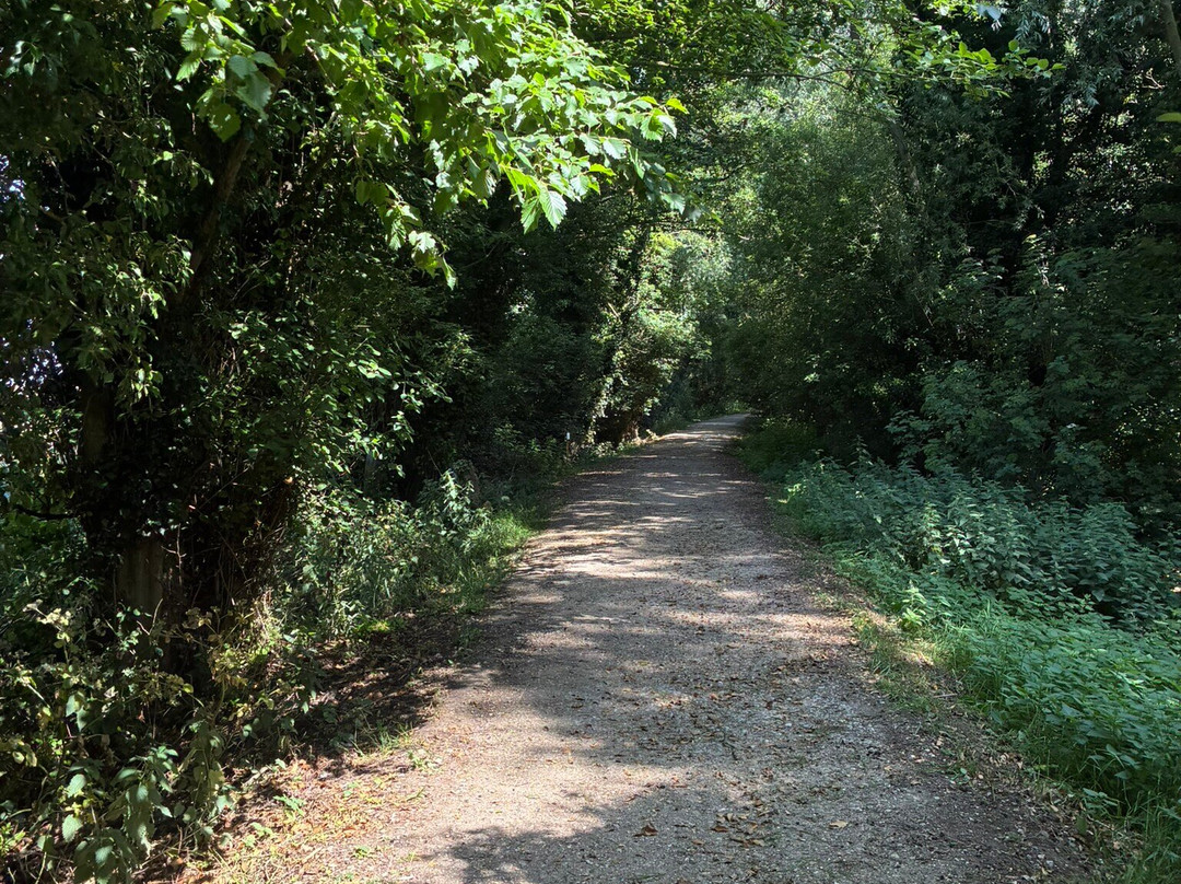 RSPB Titchwell Marsh-Titchwell必去景点