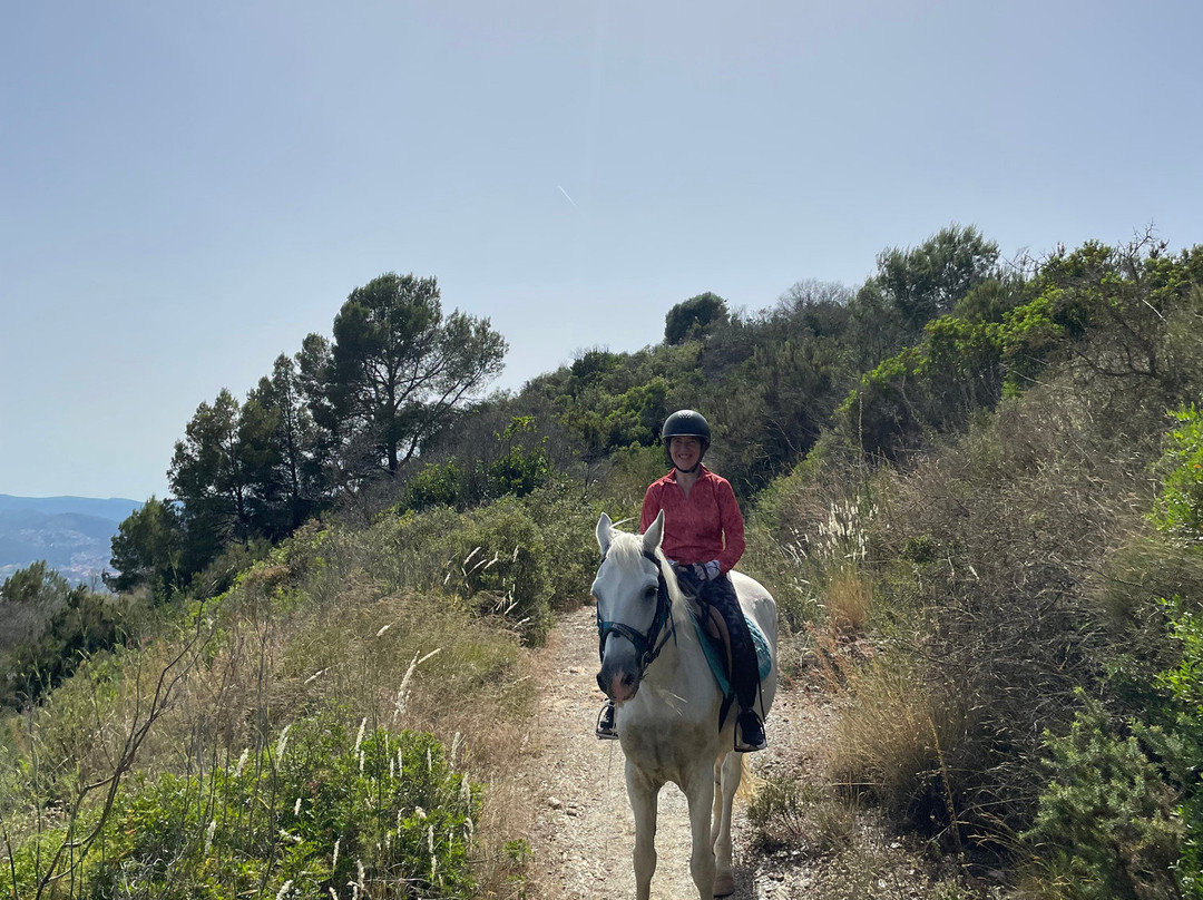 Barcelona Horse Tours-Sant Just Desvern必去景点