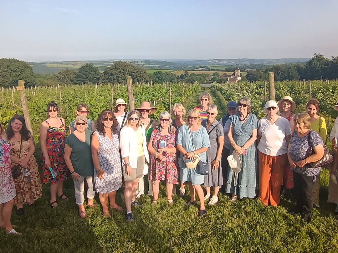 Quoit At Cross Vineyard-蒂弗顿必去景点