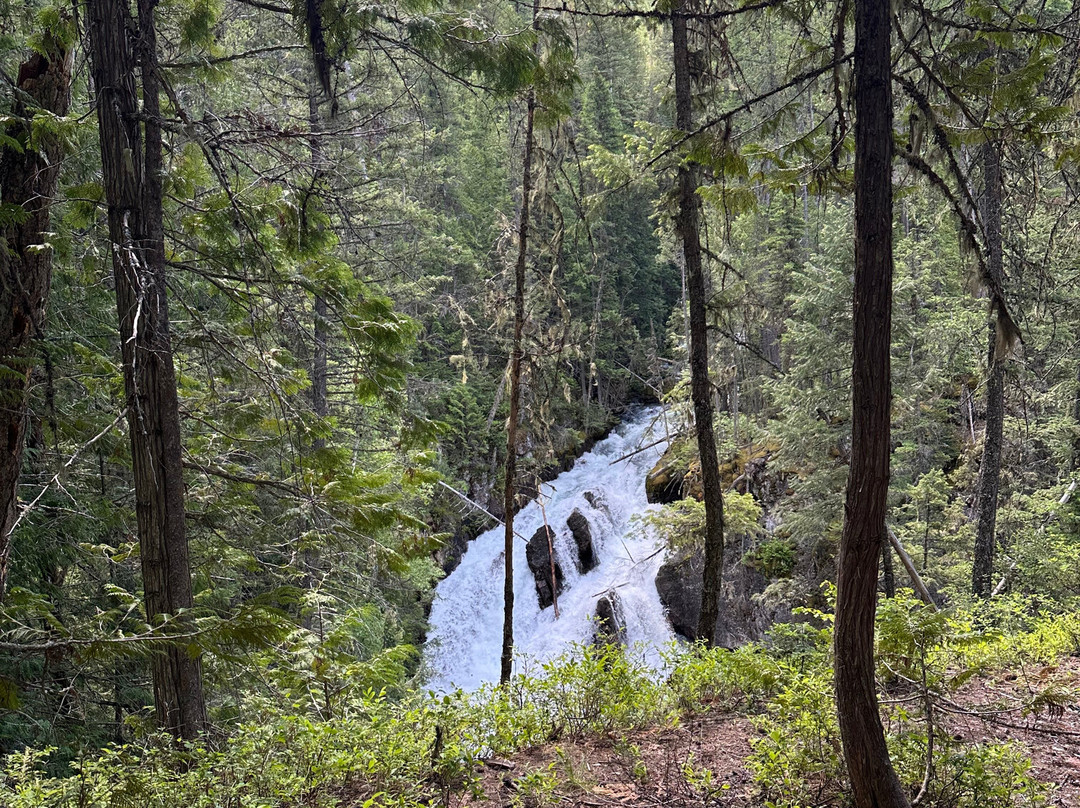 Swan Mountain Outfitters-Swan Lake必去景点