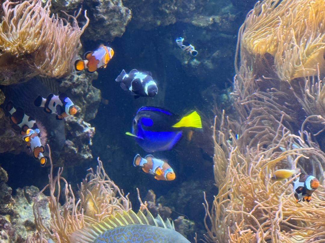 Long Island Aquarium-Riverhead必去景点