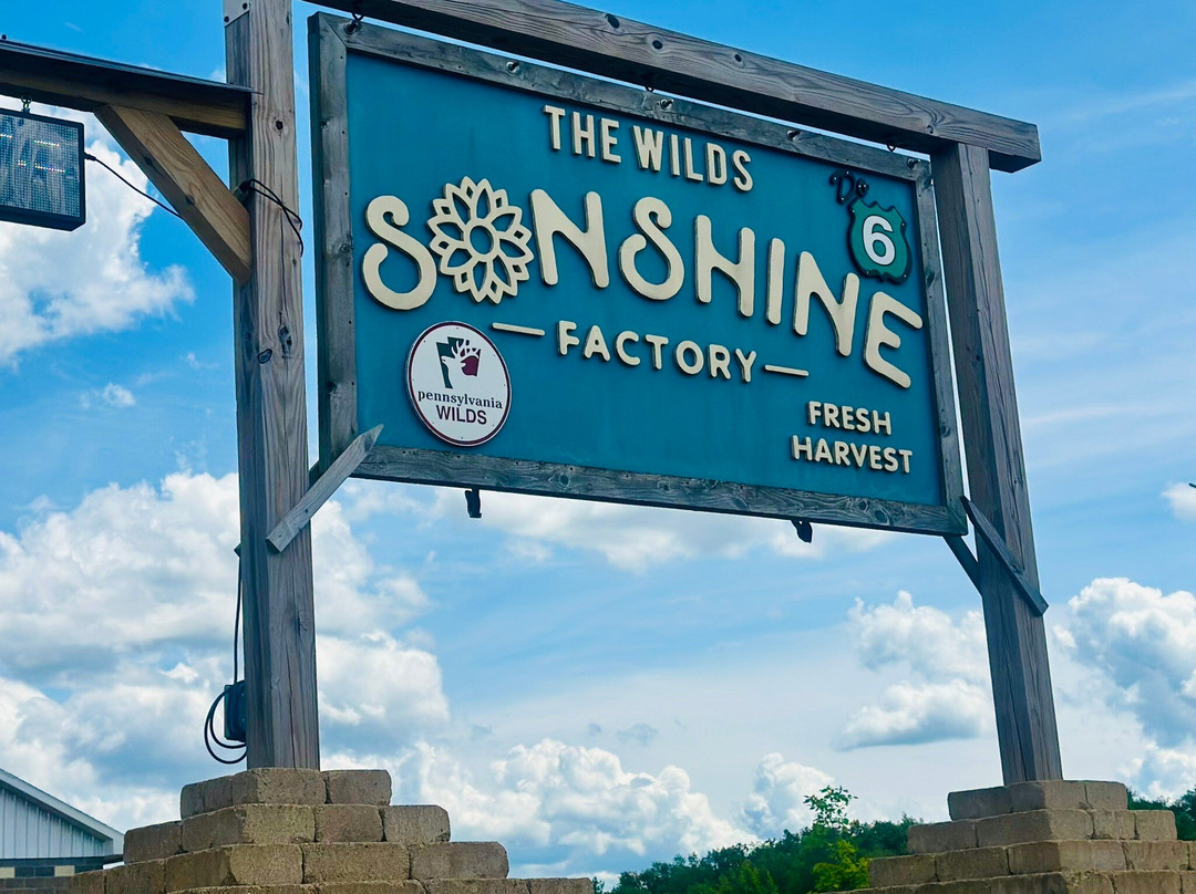 The Wilds Sonshine Factory-Kane必去景点