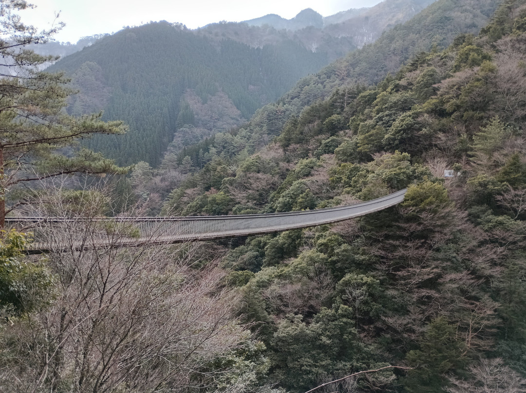 Supension Bridge, Umenoki Todoroki Park-八代市必去景点