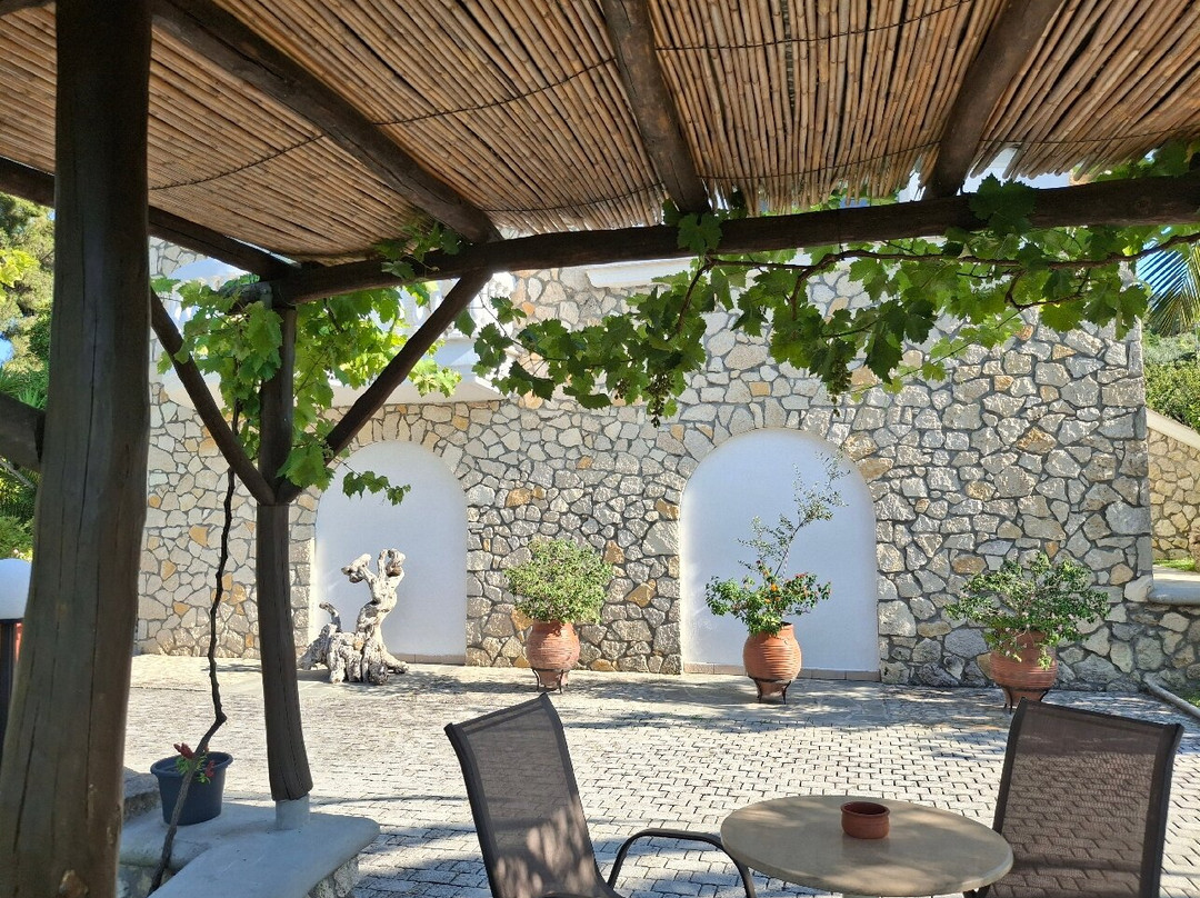 Chrouso Apartments