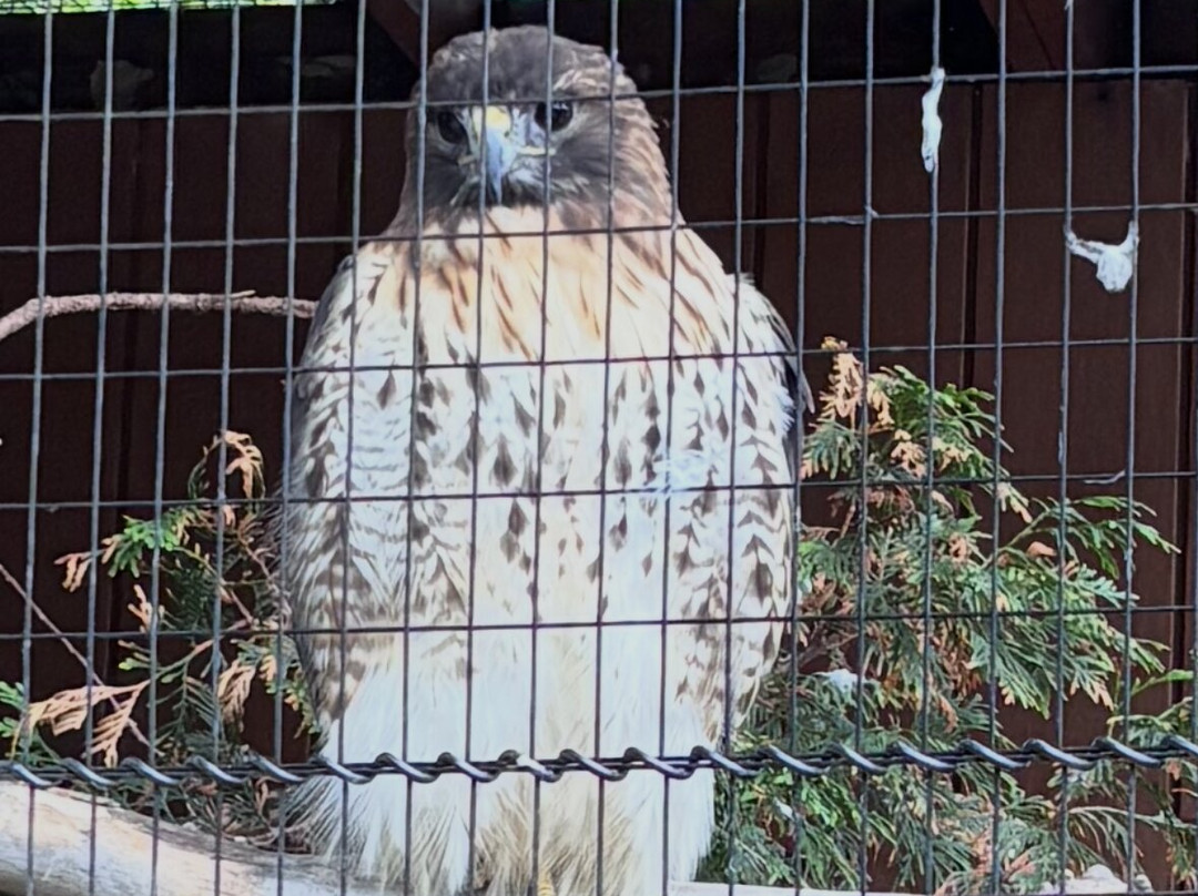 Lehigh Valley Zoo-Schnecksville必去景点