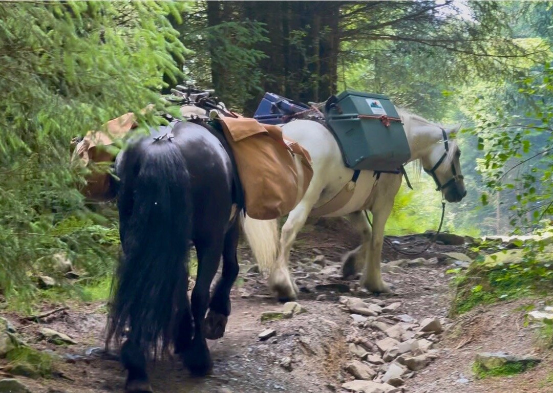 Fell Pony Adventures-温德米尔必去景点