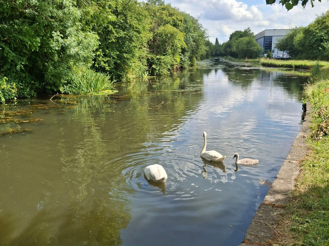 Erewash Canal-Langley Mill必去景点